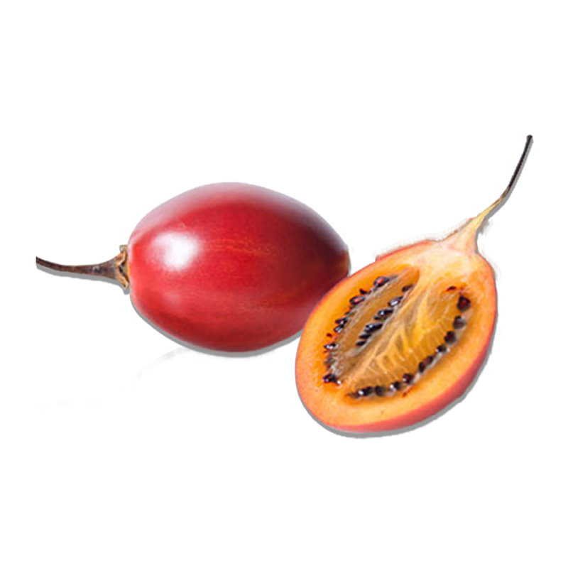 Tamarillo Rojo